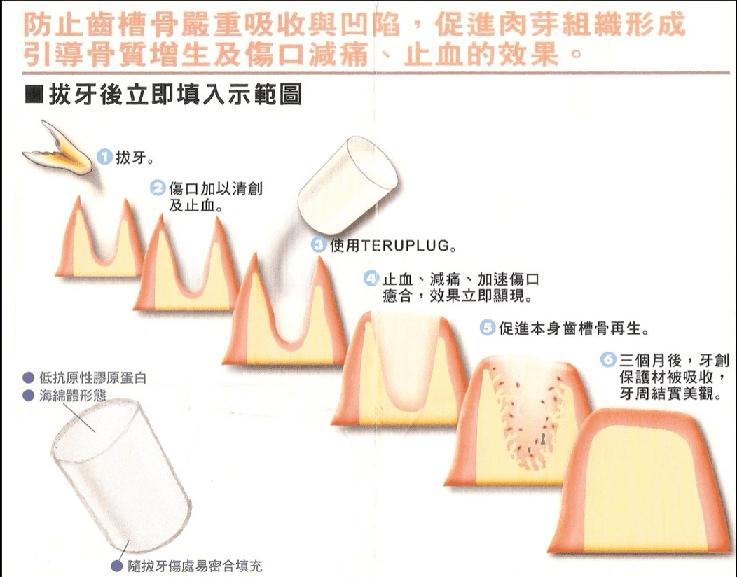 截圖 2023-08-28 上午9.06.49